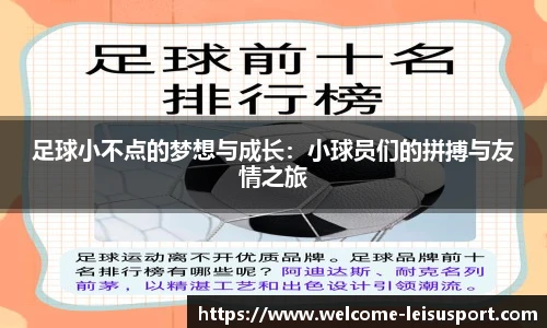 雷速体育比分
